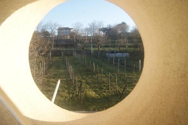 Agriturismo Sentiero Dei Sapori Pensionat Agerola Exteriör bild