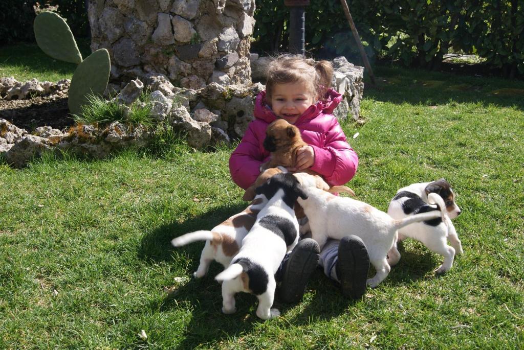 Agriturismo Sentiero Dei Sapori Pensionat Agerola Exteriör bild
