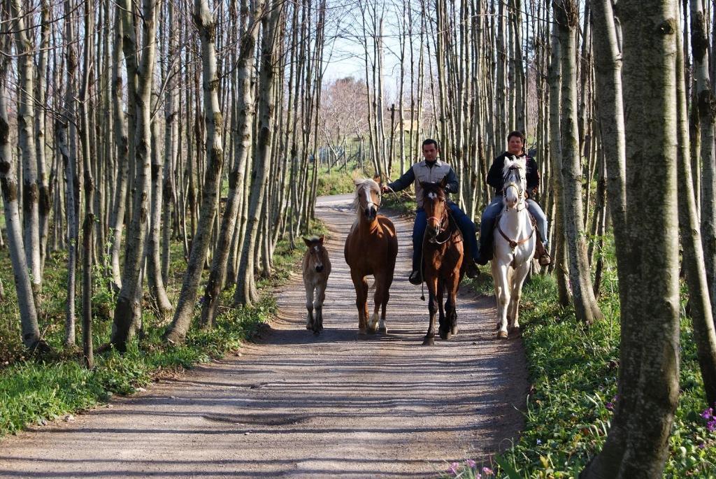 Agriturismo Sentiero Dei Sapori Pensionat Agerola Exteriör bild